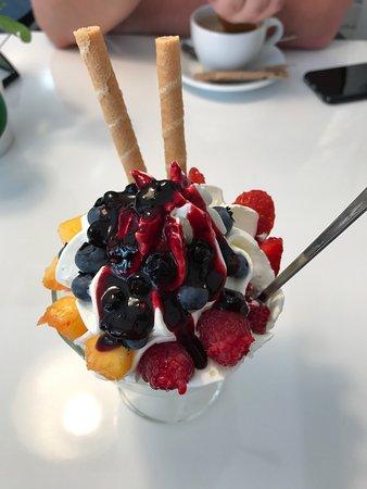 Lody Kojota